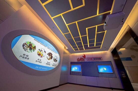 小龍蝦吃出大經濟 NEC帶你打卡中國一流龍蝦博物館