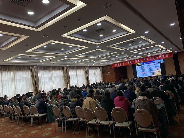 中國資產評估協會“2019年度遠程視頻培訓班”開課了