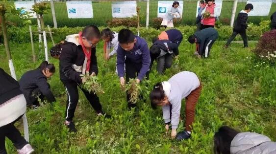 華東師范大學(xué)終身教授葉瀾：要教育公平，更要教育優(yōu)質(zhì)公平！