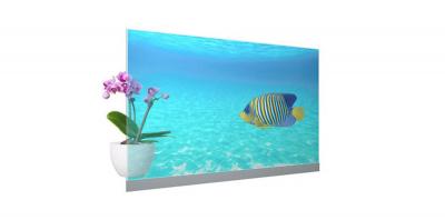 ǰʽlTP-55ZT110TP-55ZT100͸OLED@ʾ