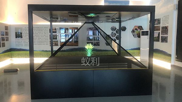 蟻利3D全息投影技術 走進鄉村振興田園綜合展示館
