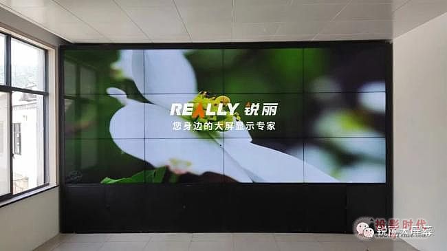 Really銳麗液晶拼接大屏幕案例欣賞