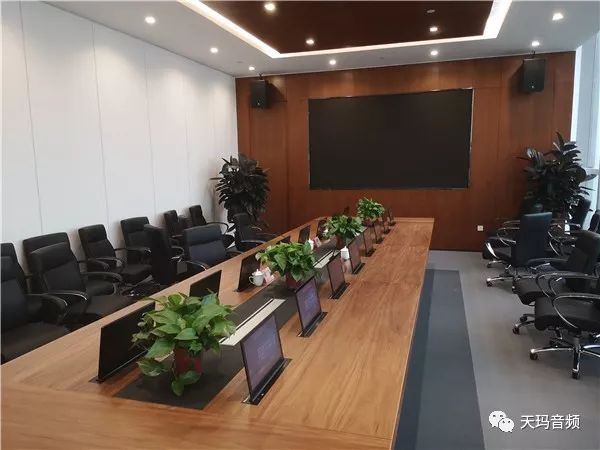 TEANMA天瑪案例：長沙天冠會議室話筒升級改造