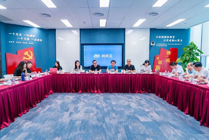 王東興調研國新文化所屬企業奧威亞