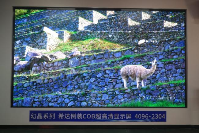 (chung)•ۄ(sh)•A|2022ϣ_(d)ȫbCOB(chung)®a(chn)Ʒƽ鼰(hu)ɹ_