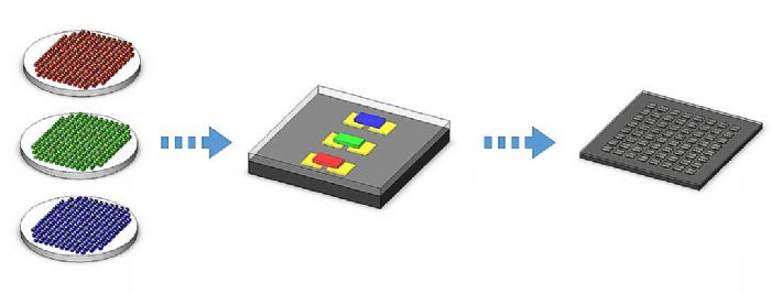 minimicro LED(chung)¼Ҳ