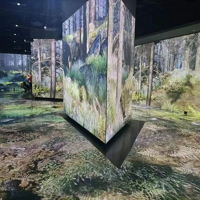 SEEMILE視美樂 | 探索鳥類王國,看創意光影下的飛羽之美