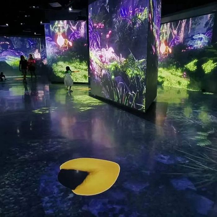 SEEMILE視美樂 | 探索鳥類王國,看創意光影下的飛羽之美