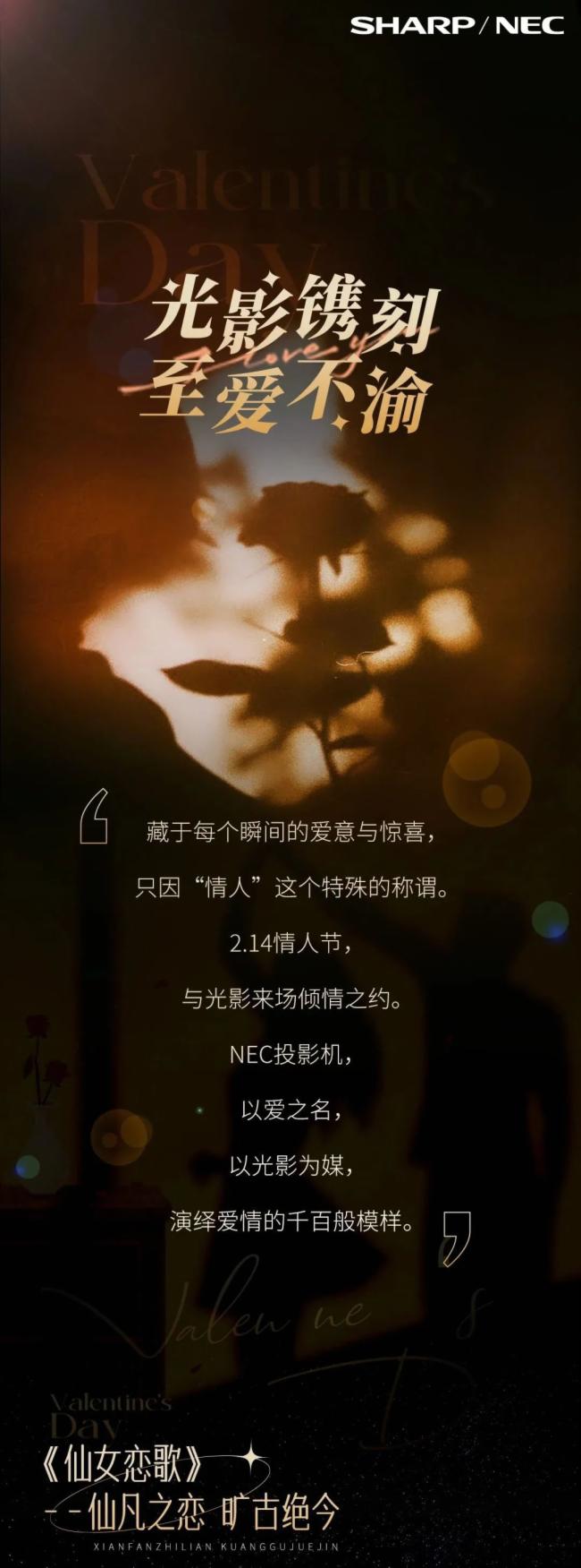 NEC丨光影鐫刻 至愛不渝