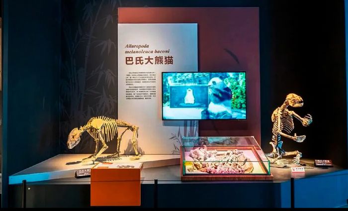 金大陸作品 重慶自然資源科普館：見宇宙，見自然，見重慶