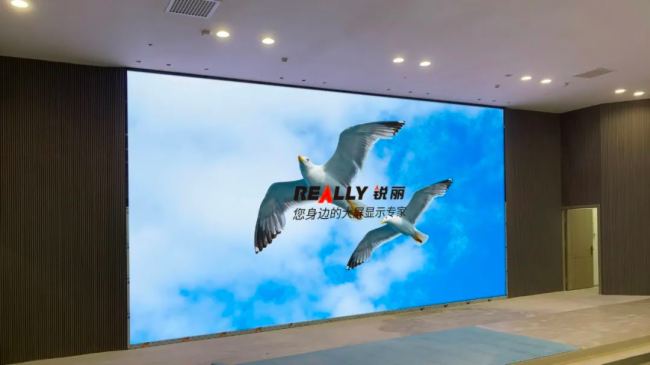 Really銳麗大屏幕助力某科技公司智慧展廳及報告廳等建設