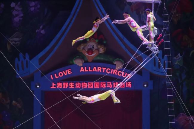 巨聲視聽 | 德國TWAUDiO助力上海野生動物馬戲節煥新啟動