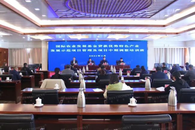 智能會議案例集錦，雷蒙電子助力寧夏多個政府單位會議高質量運行