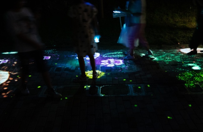 索尼助力京城夜游新名片，探訪“奇幻光影森林之山海幻境”
