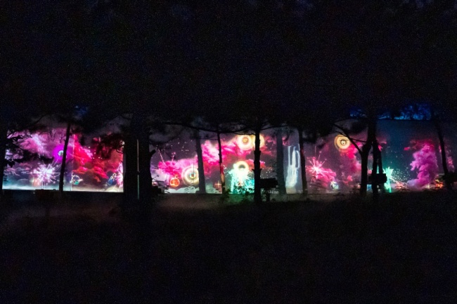索尼助力京城夜游新名片，探訪“奇幻光影森林之山海幻境”