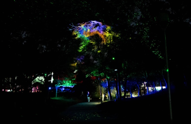 索尼助力京城夜游新名片，探訪“奇幻光影森林之山海幻境”