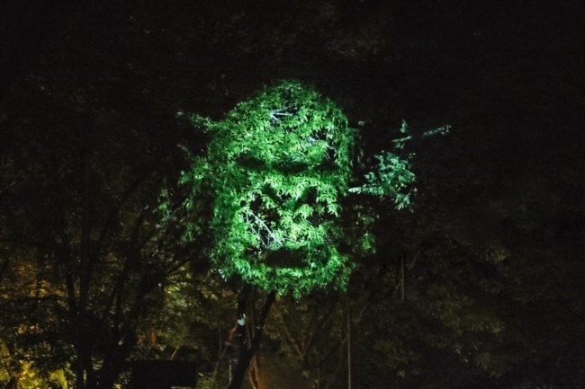 索尼助力京城夜游新名片，探訪“奇幻光影森林之山海幻境”