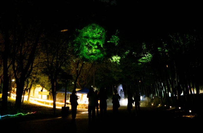索尼助力京城夜游新名片，探訪“奇幻光影森林之山海幻境”