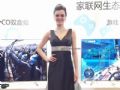 美女助陣海爾阿里Ⅱ代電視