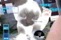 VR貓