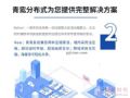 雙流傳播，靈活布局